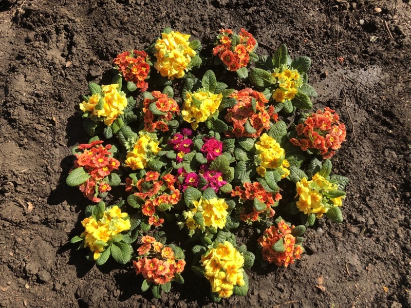 2020 03 20 01 Titelbild resized