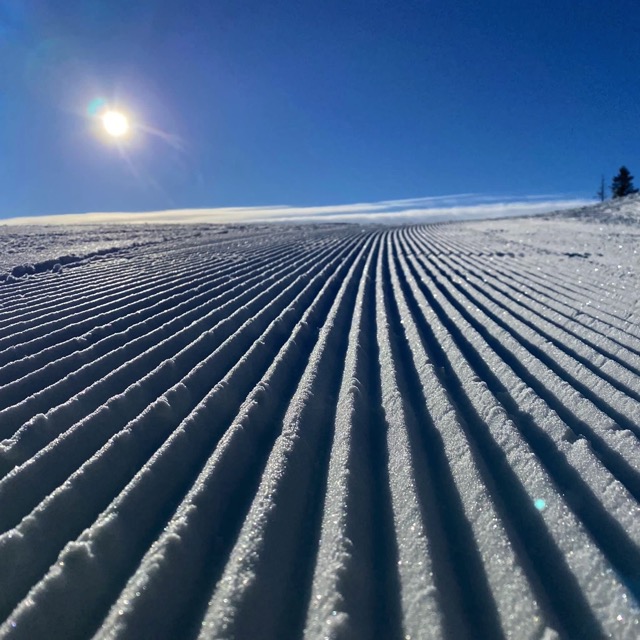 2023 02 21 005 photo copy resized